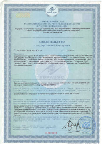 СЭС в Брянске